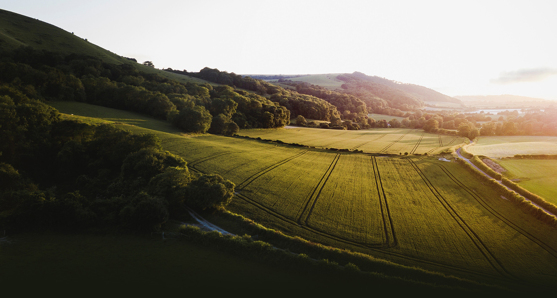 Land Promotion | Padley